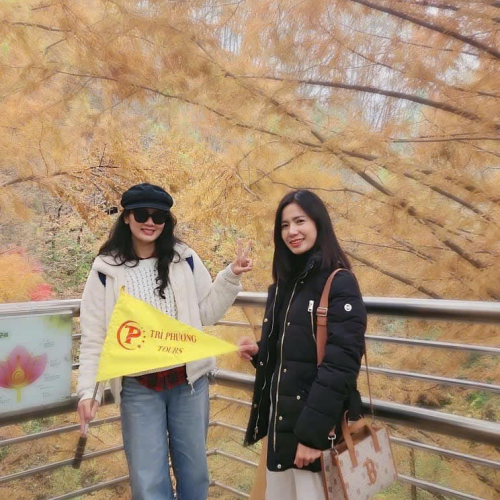 Trì Phương Tours