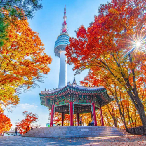 Trì Phương Tours