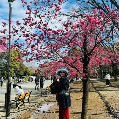 Trì Phương Tours