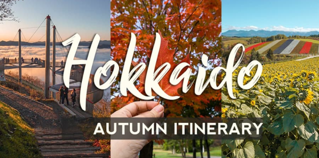 TPT - ĐÓN THU HOKKAIDO 03.10 6N5D 