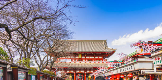NARITA - TOKYO - YAMANASHI - YOKOHAMA - FUJI] - 5N4Đ - THÁNG 03, 04, 05, 06, 07