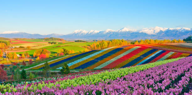 HOKKAIDO - SAPPORO - 6N5Đ - THÁNG 07