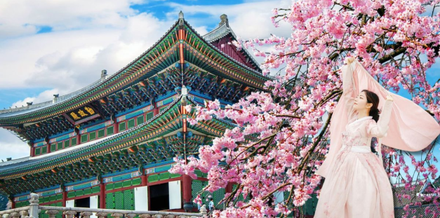 SEOUL - NAMI - EVERLAND Mùa Hoa Anh Đào 5N4Đ