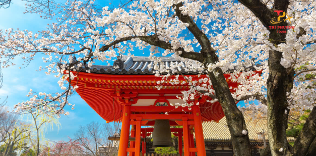 KANSAI - KOBE - OSAKA -KYOTO - TOYOHASHI - YAMANASHI - TOKYO - NARITA - 6N5Đ - THÁNG 05, 06, 07, 08, 09
